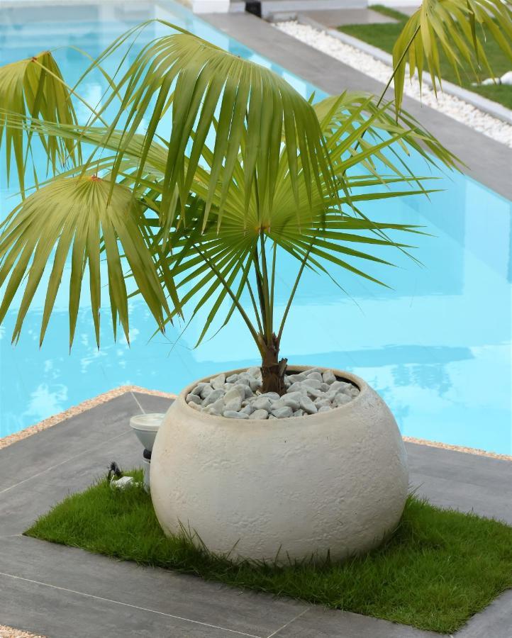 Balai Cinta Villa Panglao Bagian luar foto